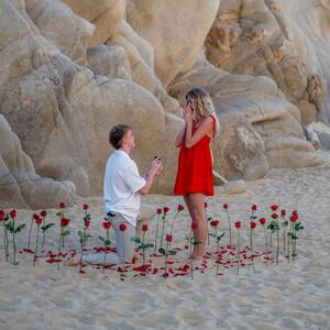 Gallery Photo 9