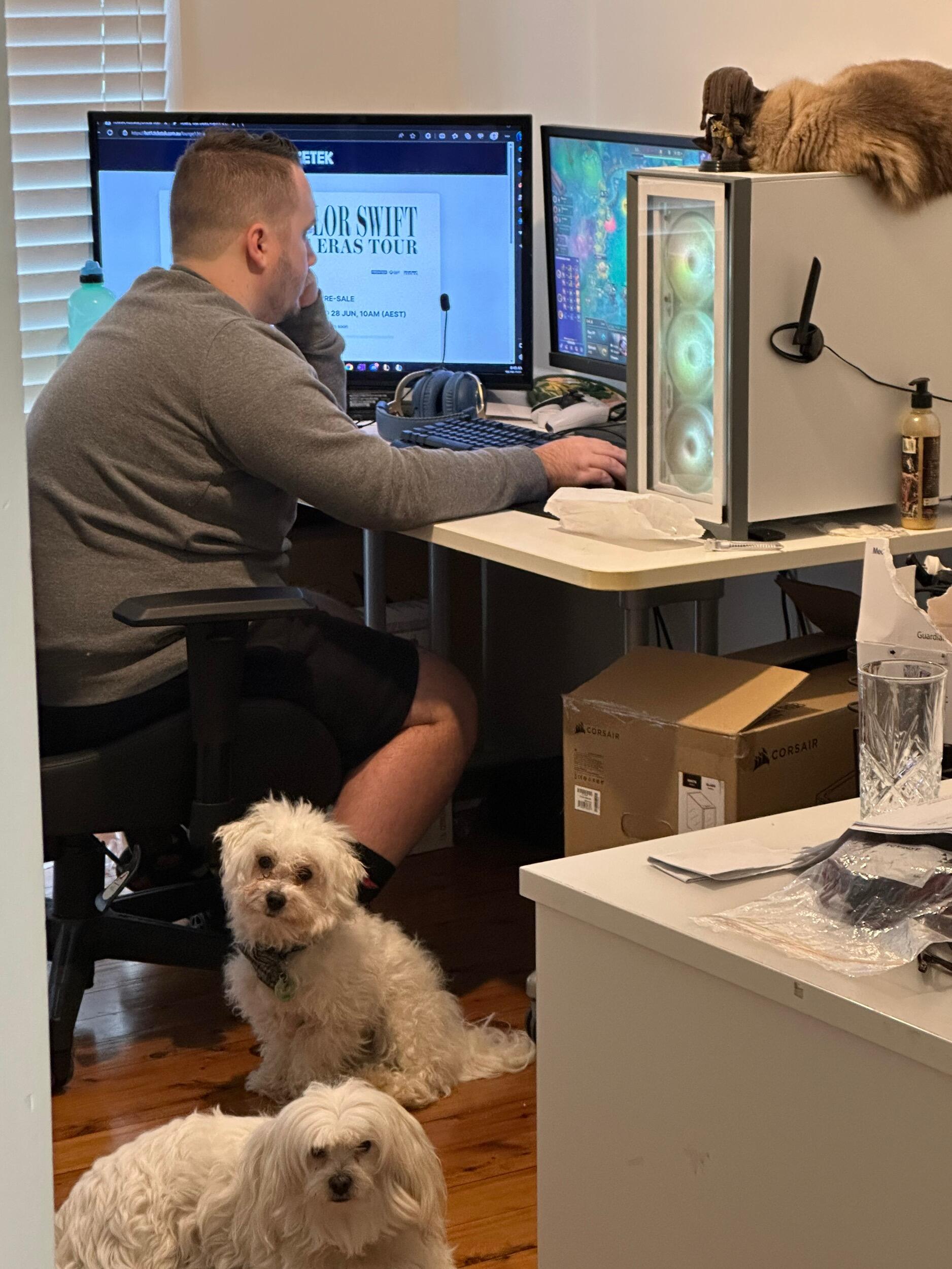 It must be love, love, love. Matilda must be worth it for Ben to spend DAYS queuing for Taylor Swift tickets! All the animals are here to help.