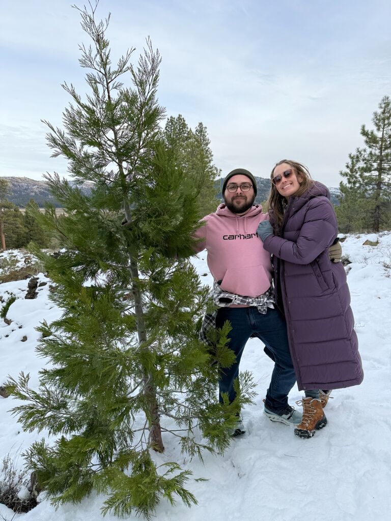 Christmas tree hunting in the Sierra