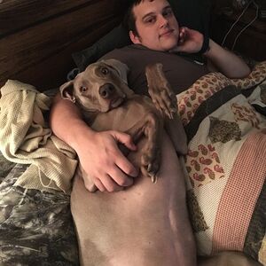 Gallery Photo 31