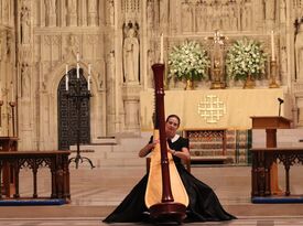 A 1 Harpist Baltimore, MD,  Washington DC - Harpist - Baltimore, MD - Hero Gallery 1