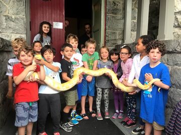 NJ Snake Man - Reptile Show - Andover, NJ - Hero Main