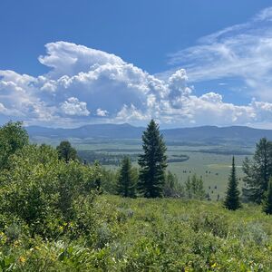 Gallery Photo 26