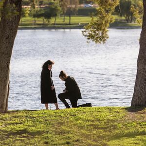 Gallery Photo 7