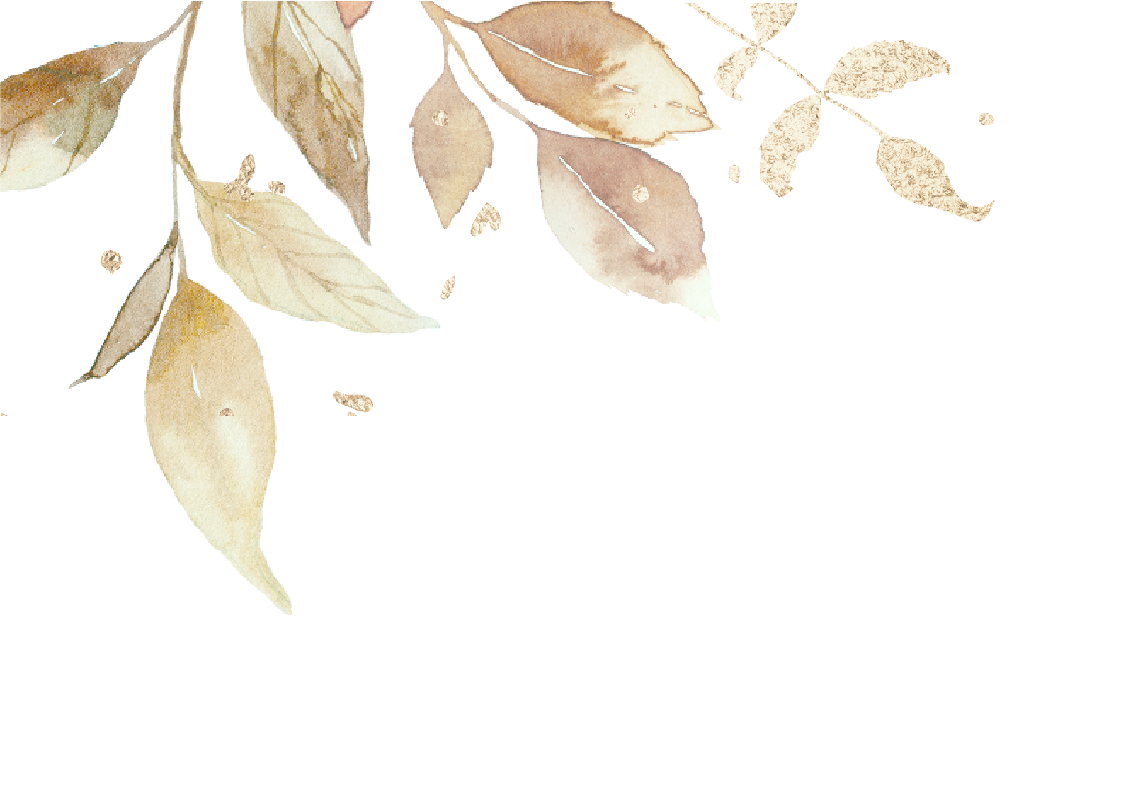 Top Theme Image