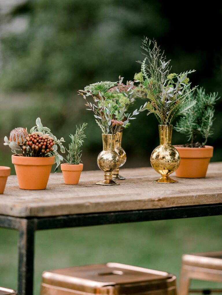 simple rustic wedding centerpiece idea with plants and herbs in terracotta pots