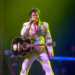 ELVIS TRIBUTE...DJ.. STEVE MITCHELL, profile image