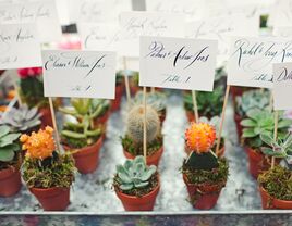 9 Creative Ways to Use Potted Plants In Your Wedding