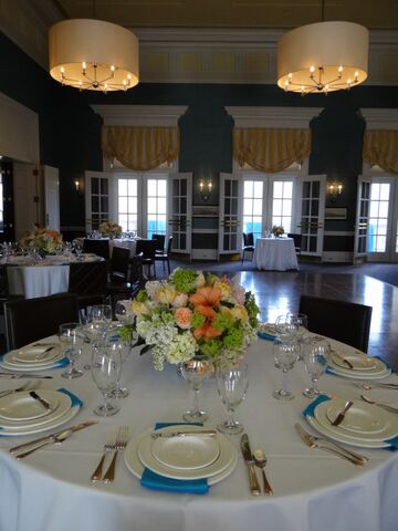 albany club