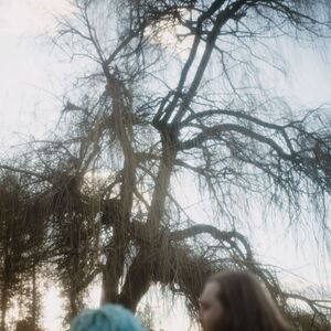 Gallery Photo 81
