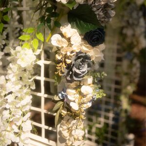 Gallery Photo 45