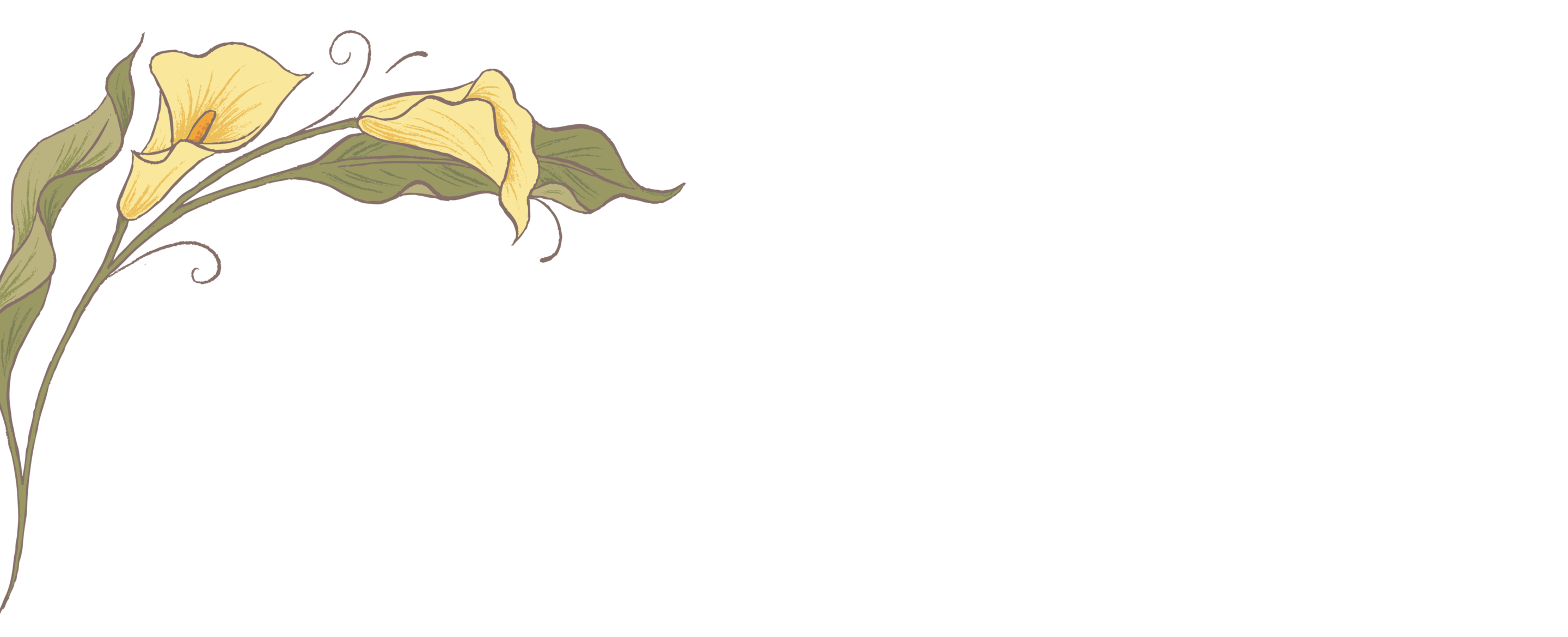 Top Theme Image