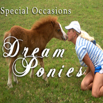 Special Occasions Dream Ponies - Animal For A Party - Oklahoma City, OK - Hero Main