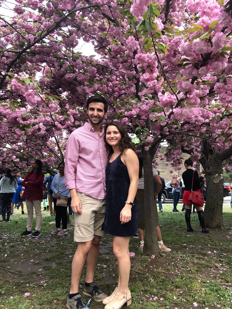 Cherry blossom festival in DC