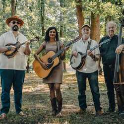 Magnolia Street String Band, profile image