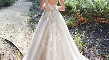 Lara avery hotsell lace ball gown