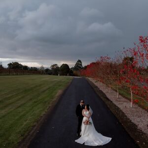 Gallery Photo 239