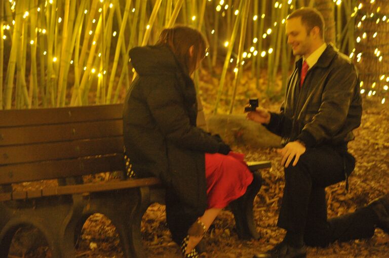 When James Asked at the Festival of Lights