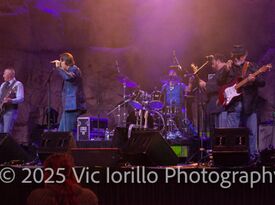 The Mojo Rhodes Band - Cover Band - Dayville, CT - Hero Gallery 4