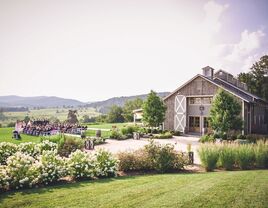 Pippin Hill Farm and Vineyards wedding reception