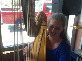 Julie Buzzelli - Harpist - Bowling Green, OH - Hero Gallery 4