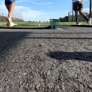 Gallery Photo 24