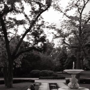 Gallery Photo 10
