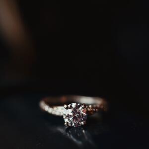 Gallery Photo 39