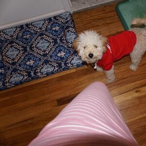 Gallery Photo 76