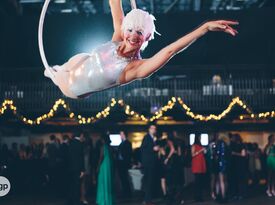 Violet Crown Collective - Aerialists - Circus Performer - Austin, TX - Hero Gallery 1