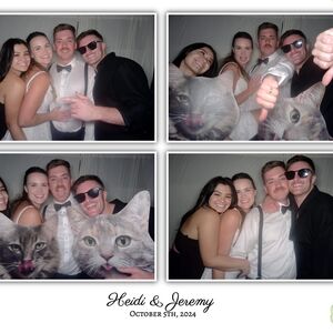 Gallery Photo 63