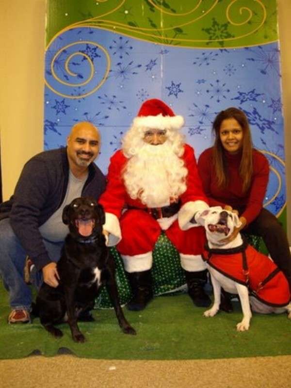 Abby and Sunny, our first family dogs.
Our Christmas photo