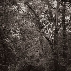 Gallery Photo 33