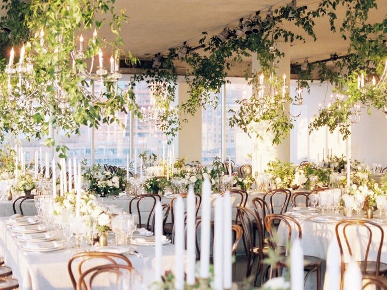 Bright and airy reception space with hanging foliage