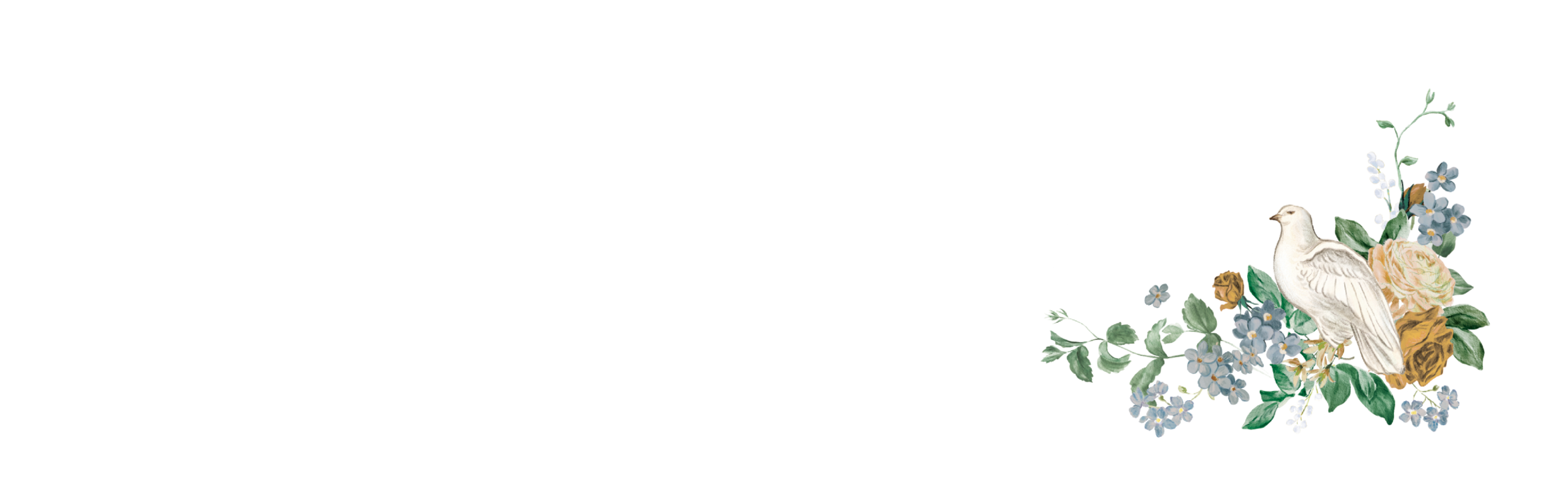 Bottom Theme Image