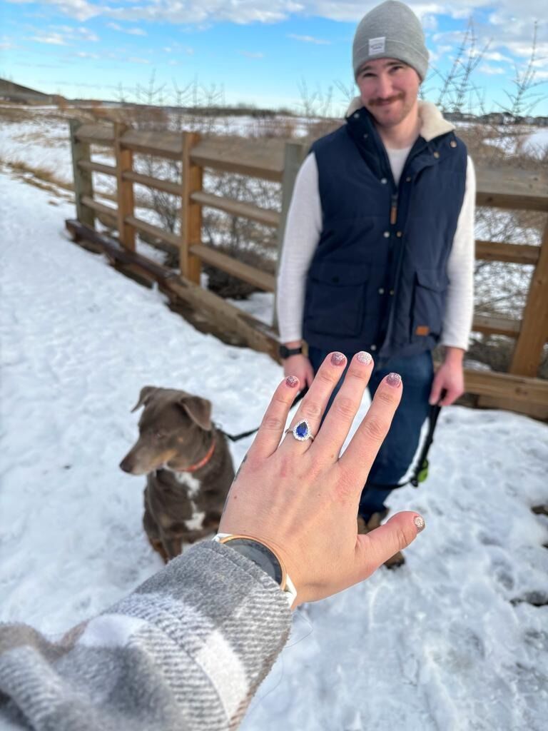 The proposal