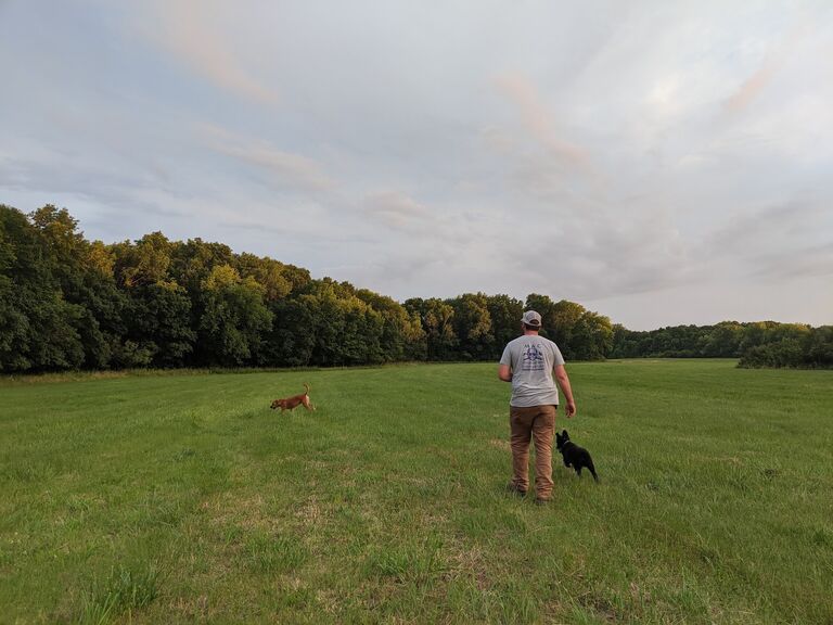 Exploring with the dogs :)