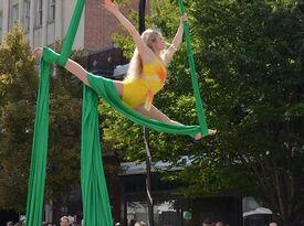Aerial Sky Ballerina - Circus Performer - Naples, FL - Hero Gallery 3