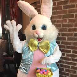 Las Vegas Easter Bunny, profile image