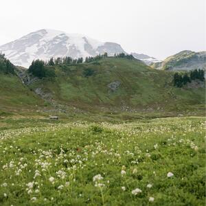 Gallery Photo 46