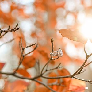 Gallery Photo 33
