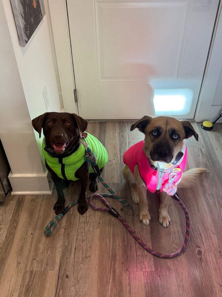 Ella getting her first winter jacket