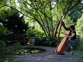 Rose Melody Performances - Harpist - Tallmadge, OH - Hero Gallery 4