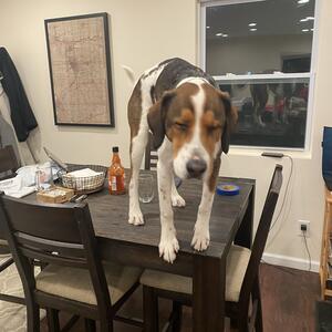 Gallery Photo 118