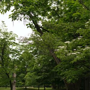 Gallery Photo 20