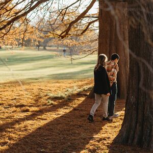 Gallery Photo 364