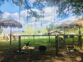 Mobile Zoo Of Southern California - Animal For A Party - San Gabriel, CA - Hero Gallery 1
