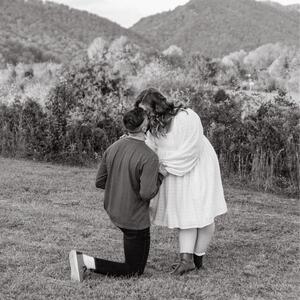 Gallery Photo 27