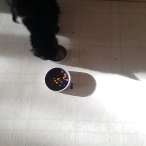 Gallery Photo 19