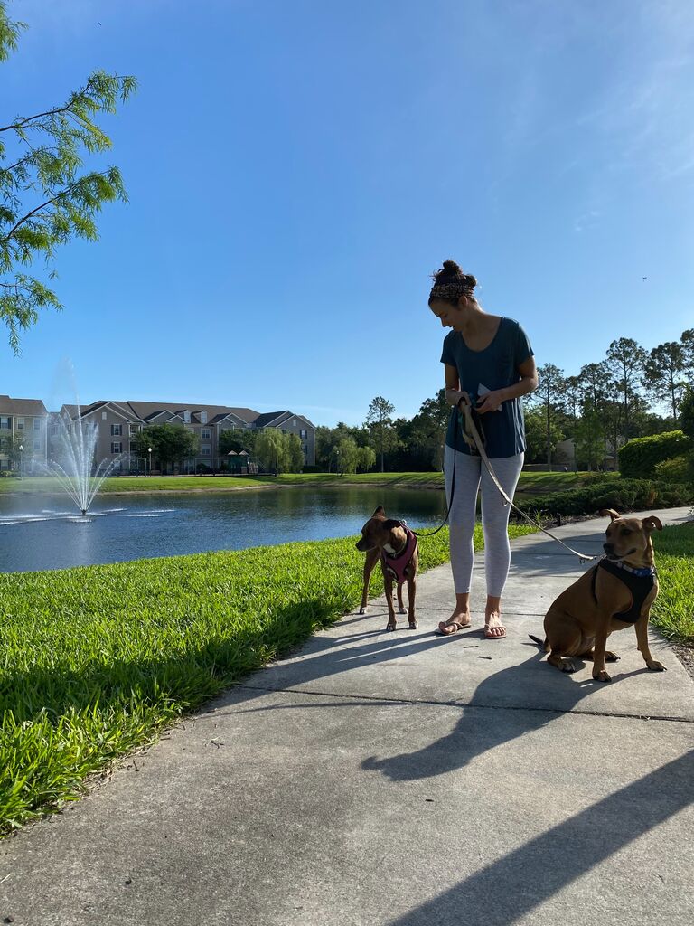 then the world shut down so they went on lots of walks...